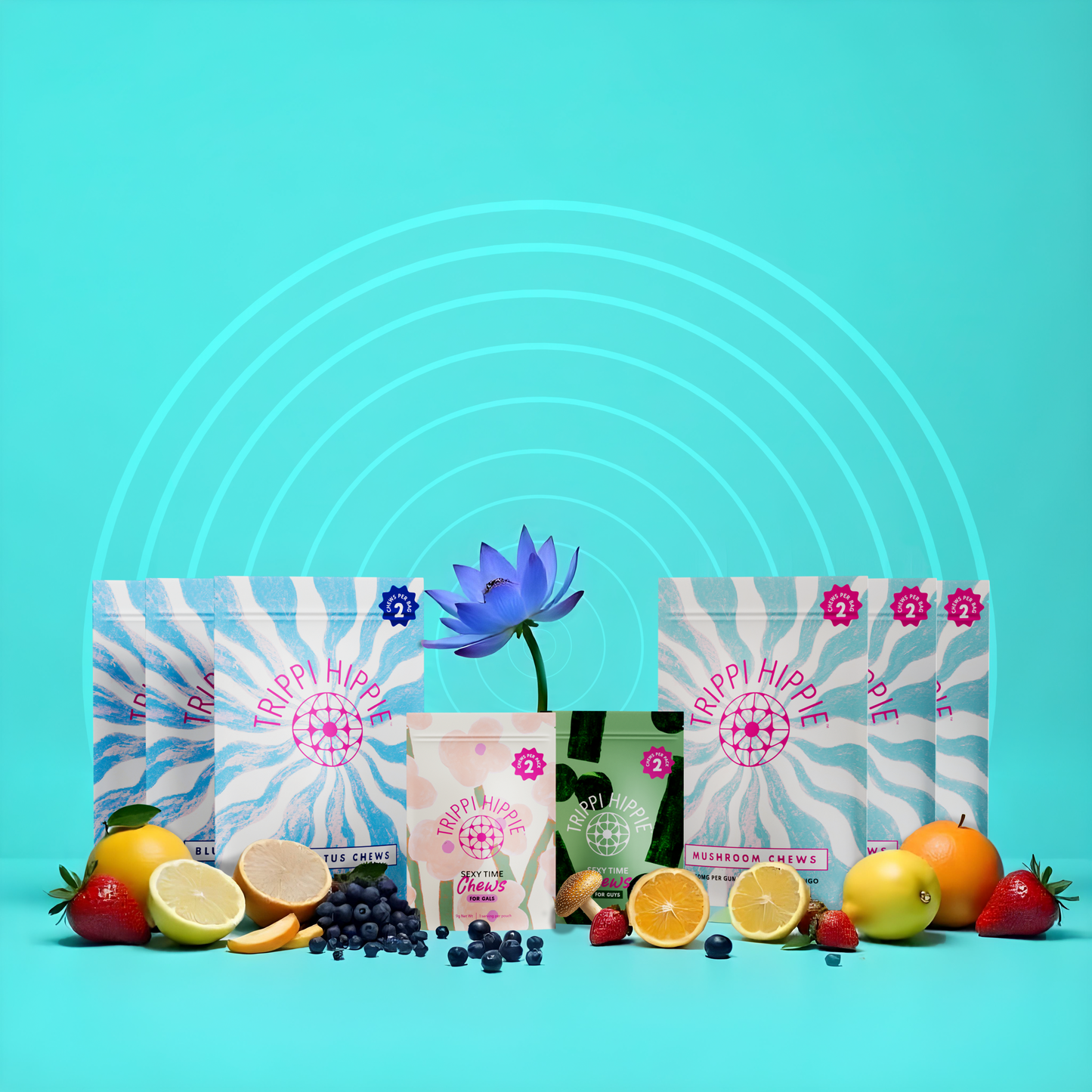 Full Size Sampler Set